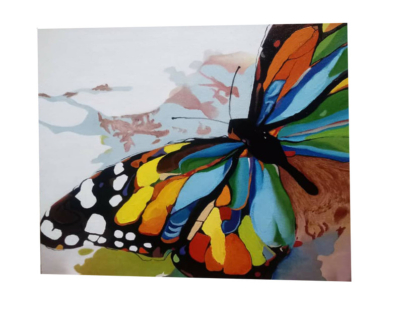 90c95a1df1f8ee0768f7ac02188b79ecb2147b7b_1652676375